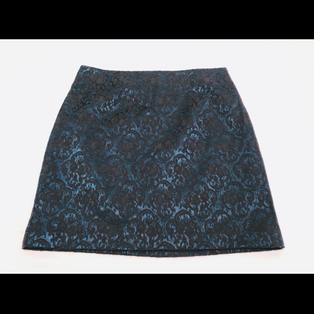 Forever21 Embroidered Mini Skirt
